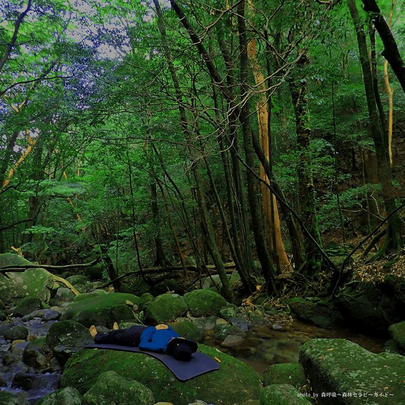 眠れる森のおまじない